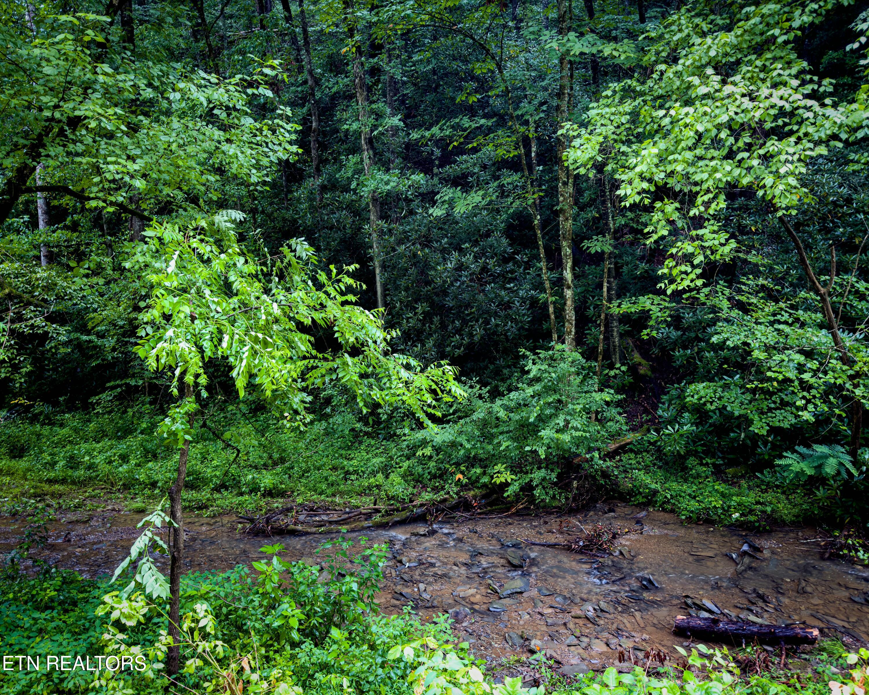 Lot 30/31 Henry Town Rd Property Photo 42