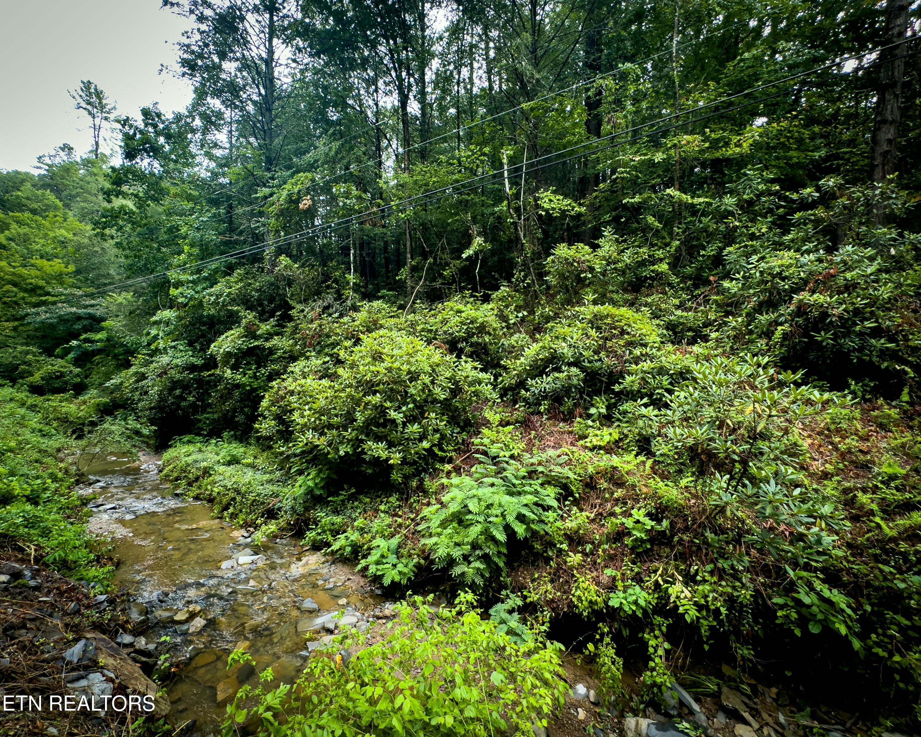 Lot 30/31 Henry Town Rd Property Photo 43