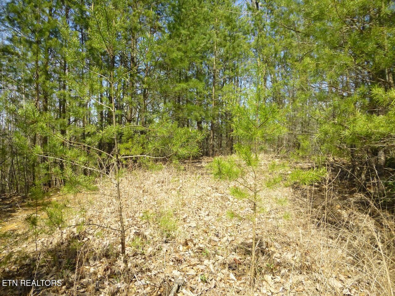 Lots 24&25 Sonshine Ridge Rd Property Photo 2