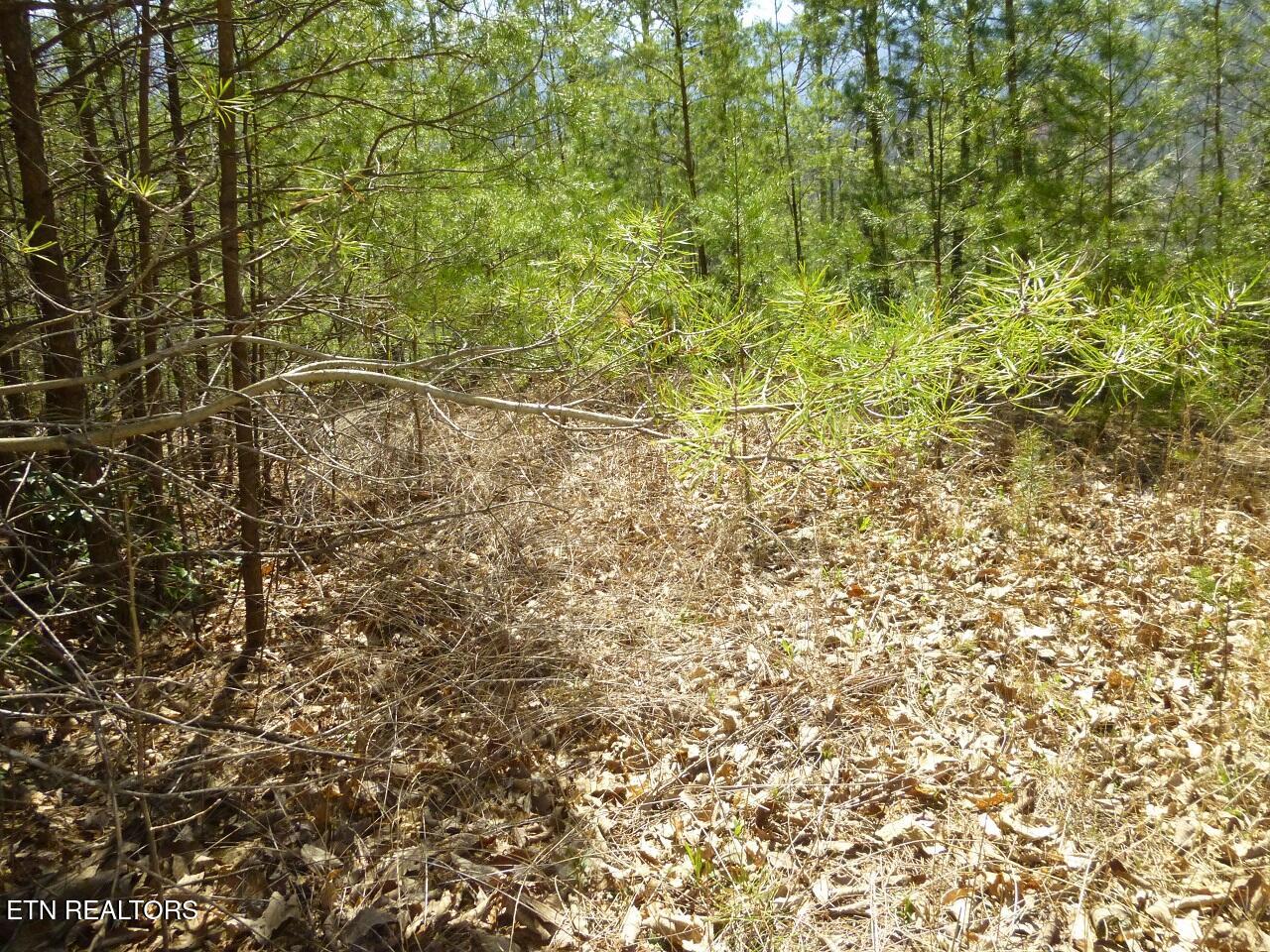 Lots 24&25 Sonshine Ridge Rd Property Photo 3