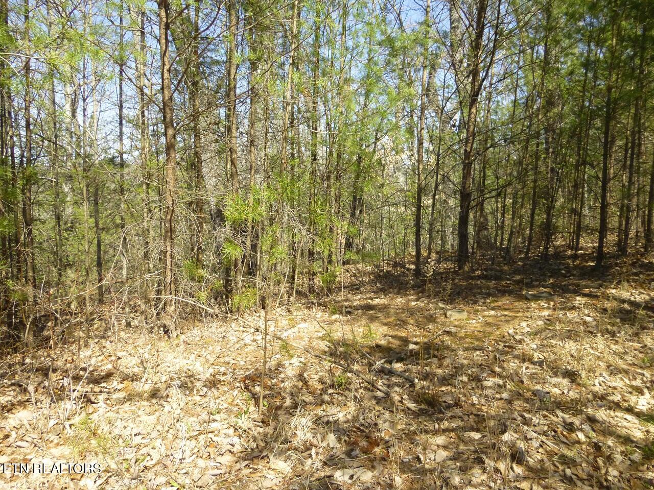 Lots 24&25 Sonshine Ridge Rd Property Photo 4