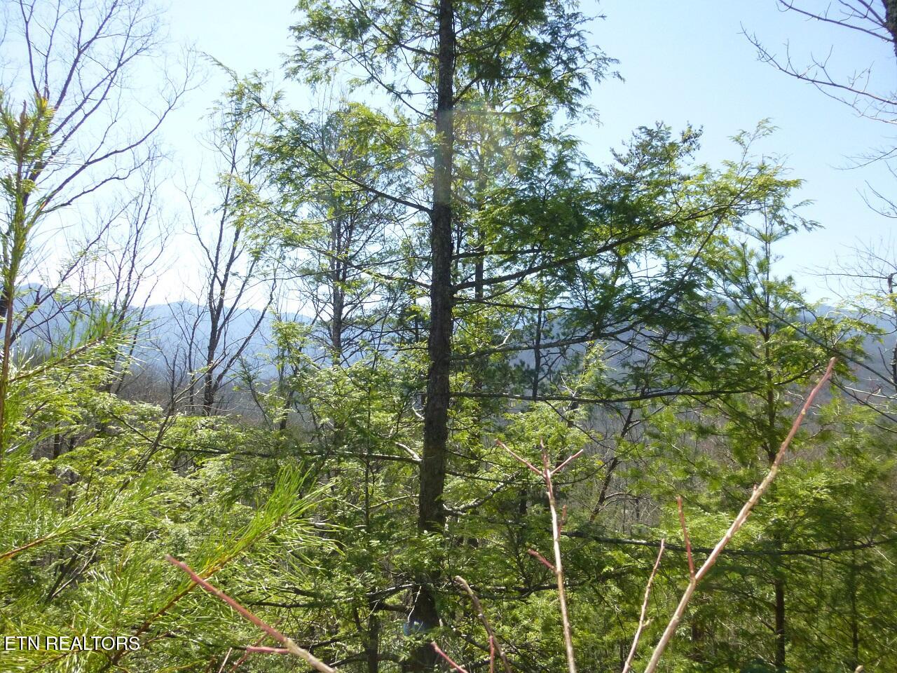 Lots 24&25 Sonshine Ridge Rd Property Photo 5