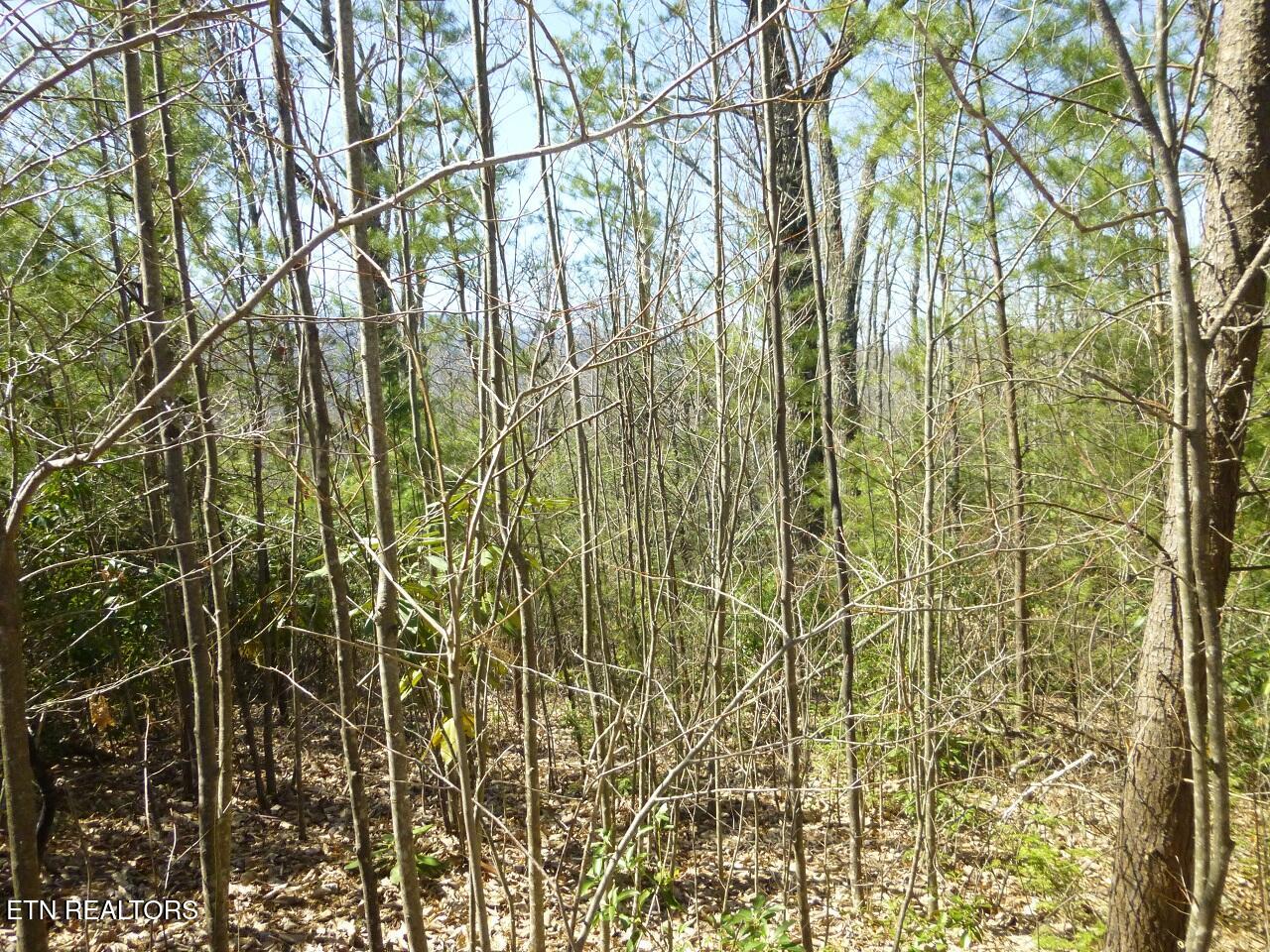 Lots 24&25 Sonshine Ridge Rd Property Photo 6