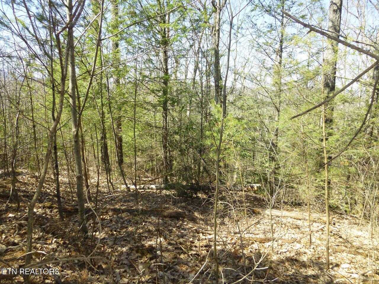 Lots 24&25 Sonshine Ridge Rd Property Photo 7