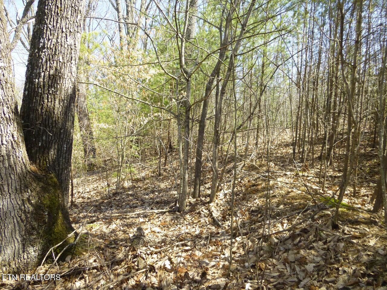 Lots 24&25 Sonshine Ridge Rd Property Photo 8