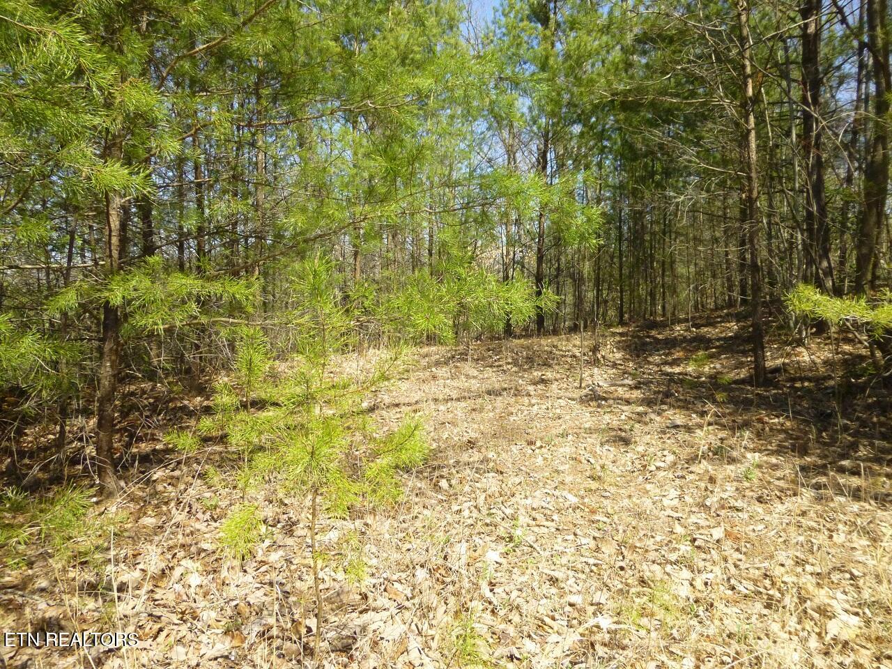 Lots 24&25 Sonshine Ridge Rd Property Photo 9