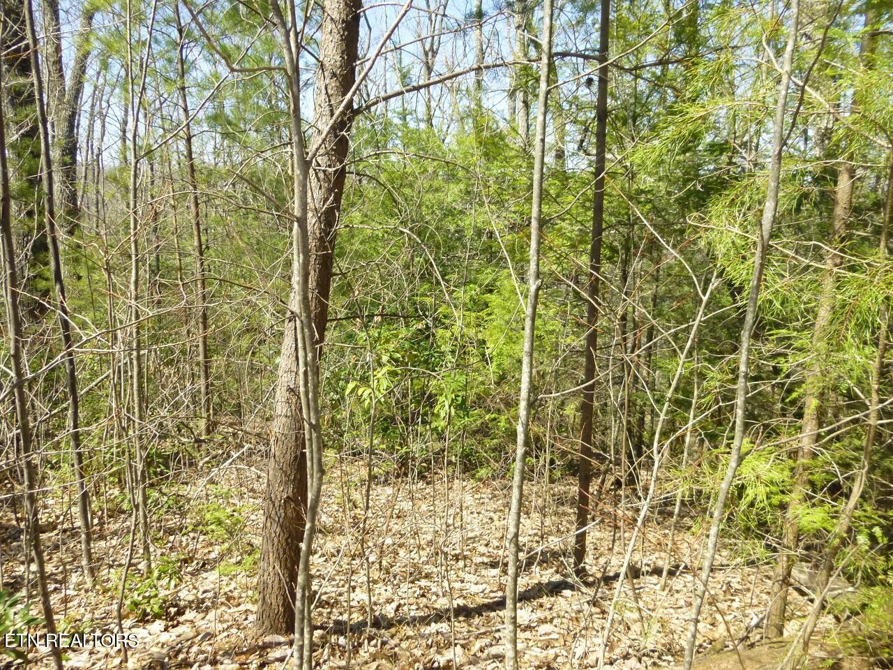 Lots 24&25 Sonshine Ridge Rd Property Photo 10
