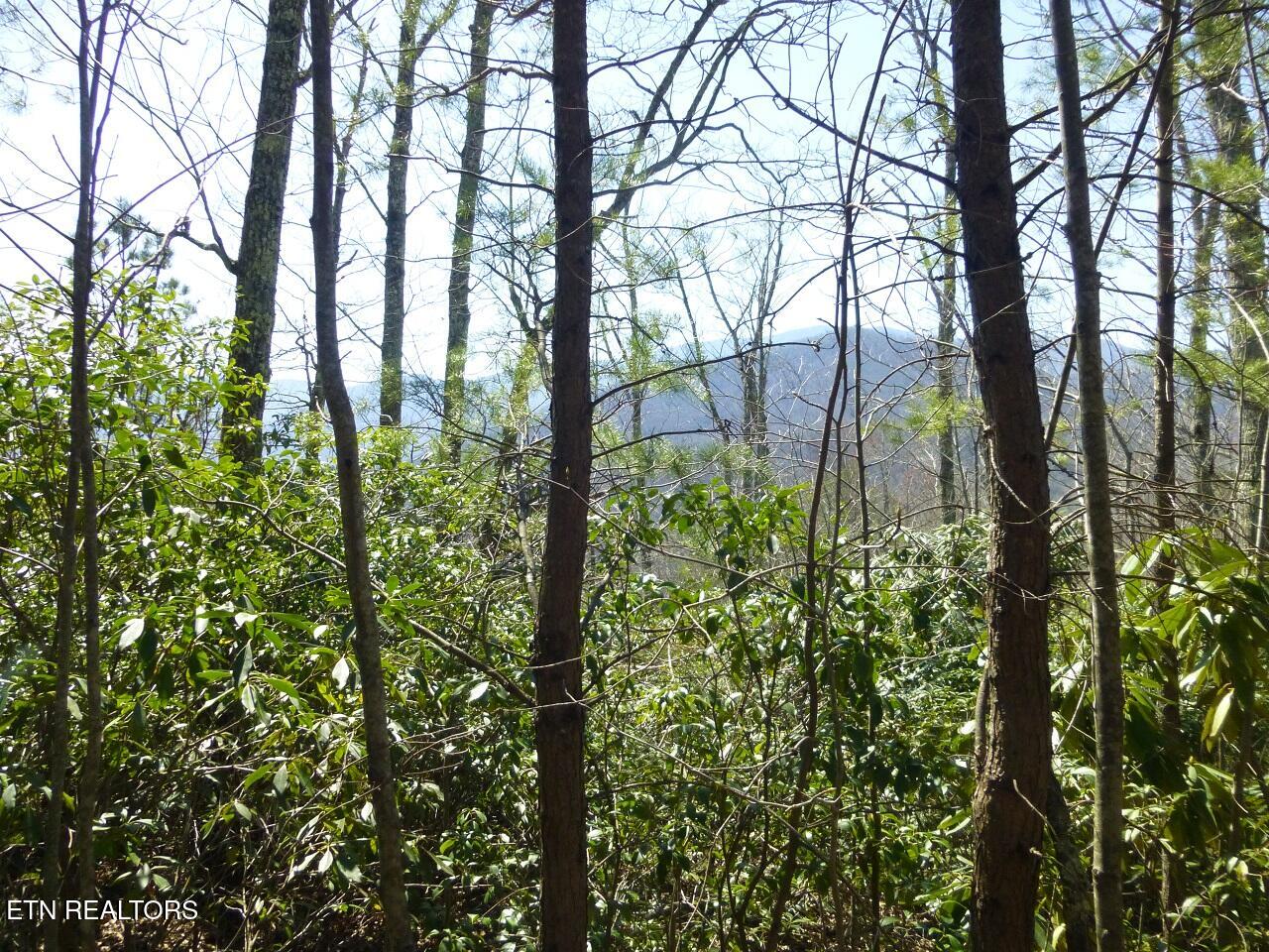 Lots 24&25 Sonshine Ridge Rd Property Photo 11