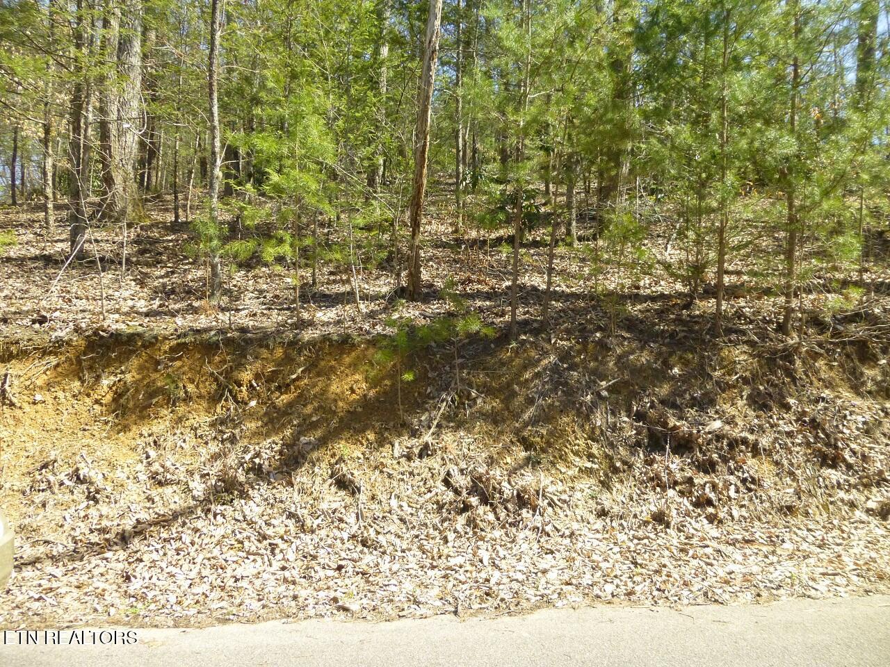 Lots 24&25 Sonshine Ridge Rd Property Photo 12