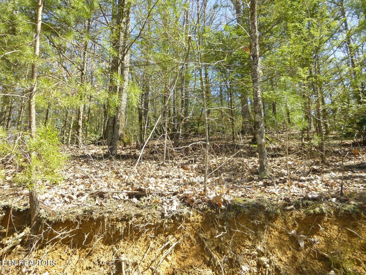 Lots 24&25 Sonshine Ridge Rd Property Photo 13