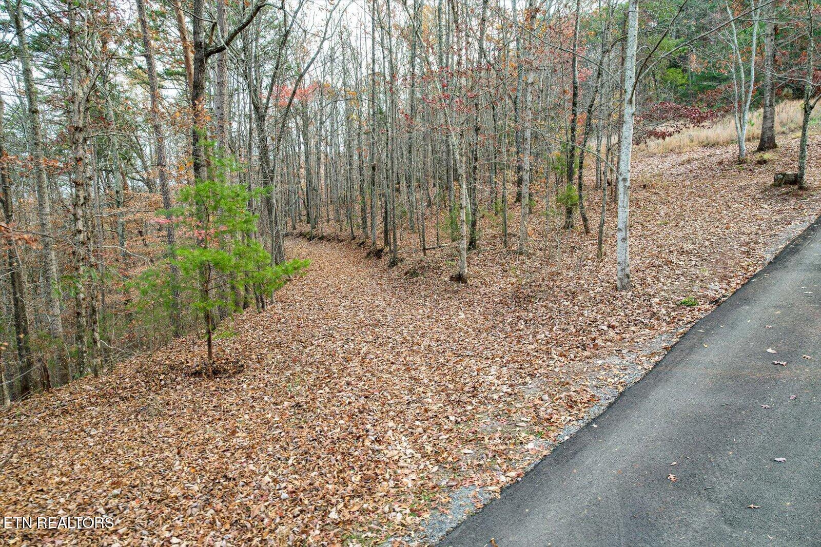 25 Acres County Road 758 Property Photo