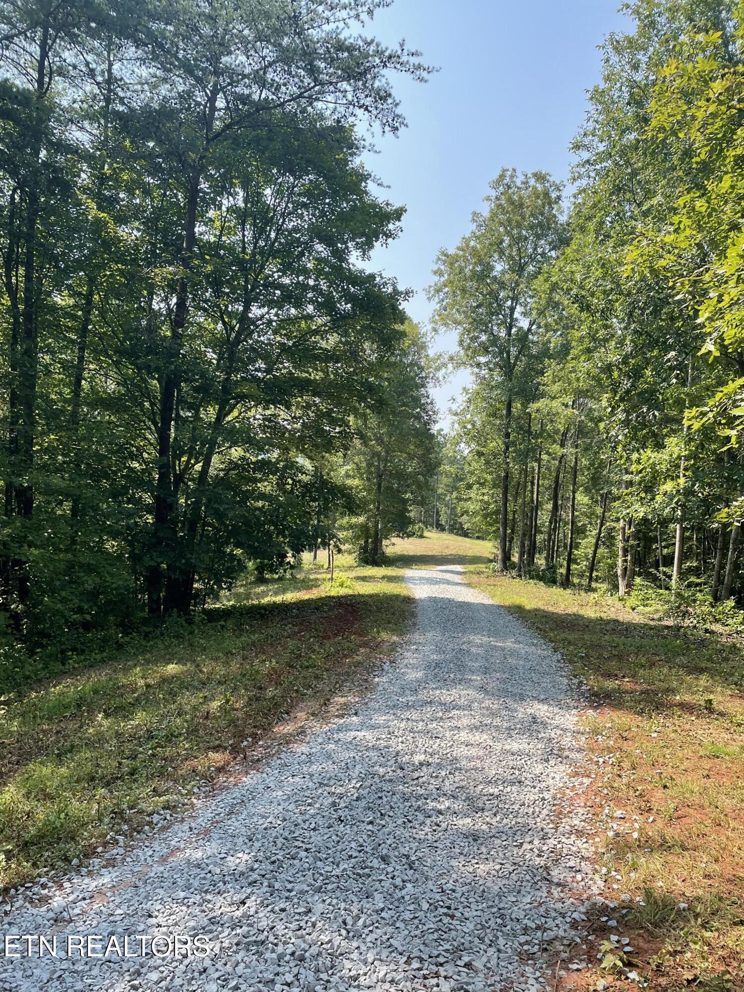 25 Acres County Road 758 Property Photo 2