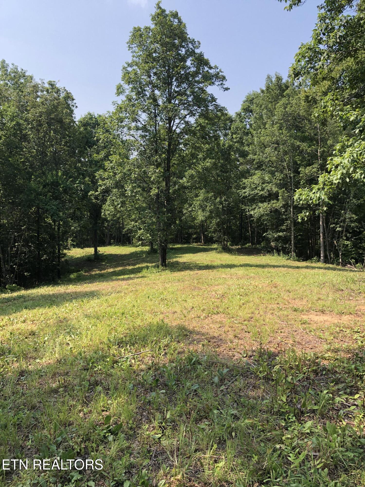 25 Acres County Road 758 Property Photo 3