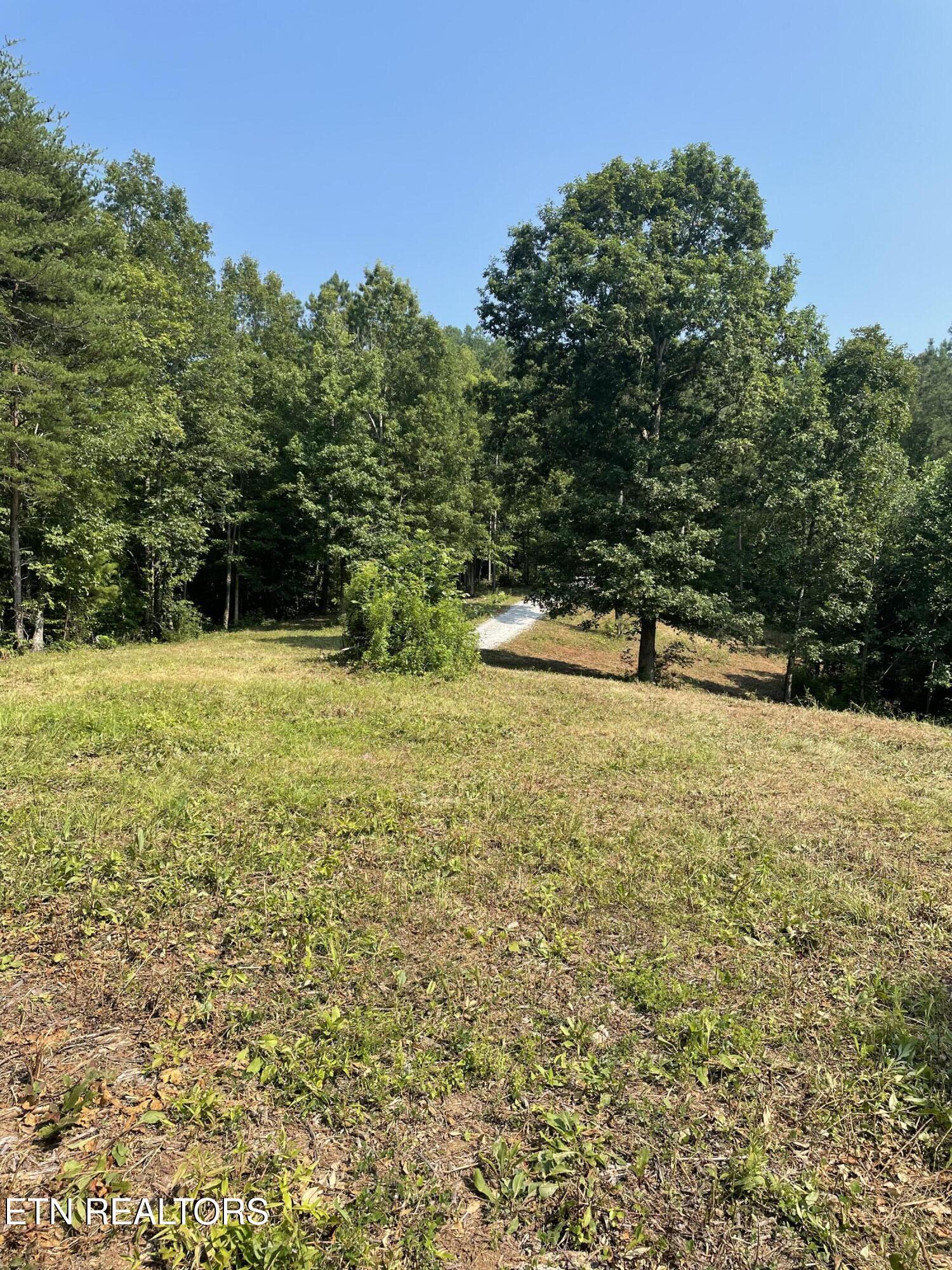 25 Acres County Road 758 Property Photo 4