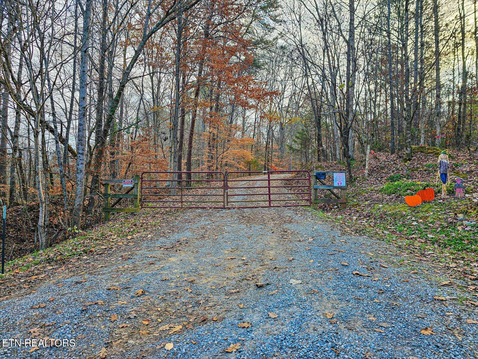 25 Acres County Road 758 Property Photo 5