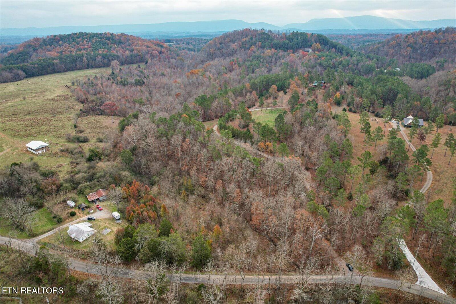 25 Acres County Road 758 Property Photo 7