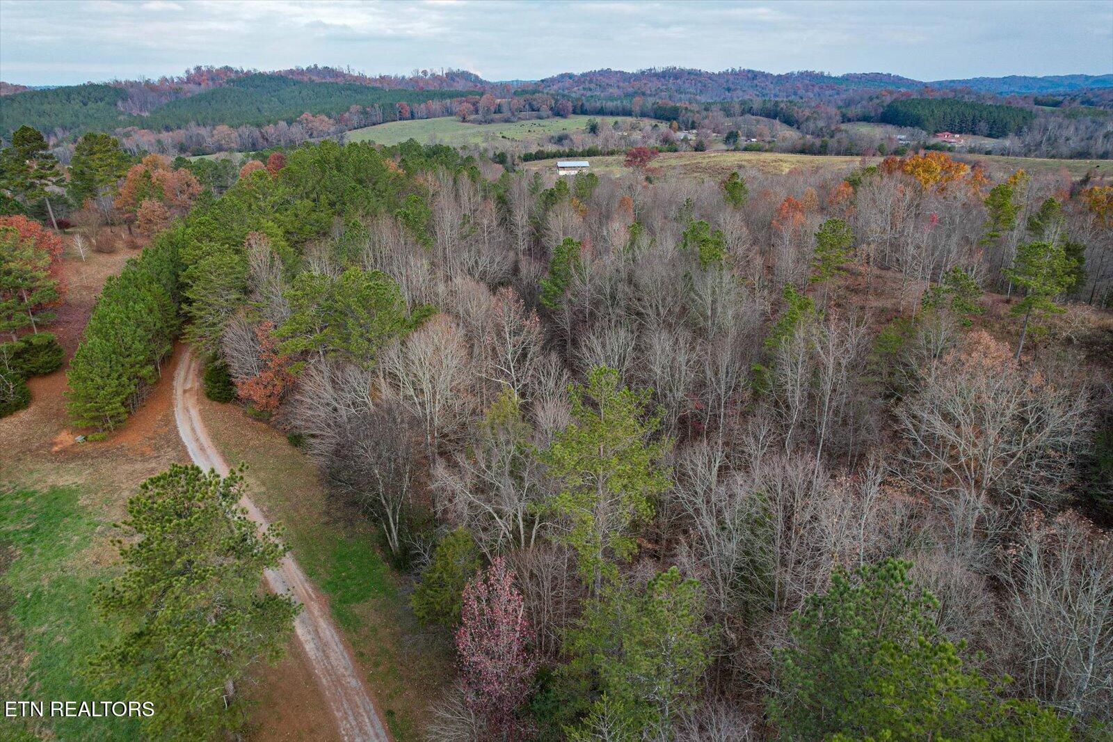 25 Acres County Road 758 Property Photo 8