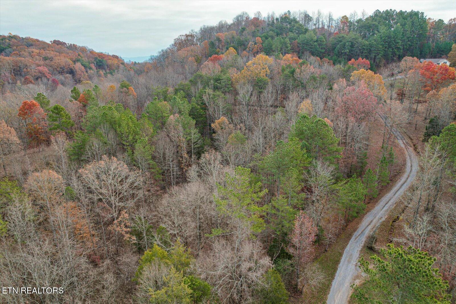 25 Acres County Road 758 Property Photo 9