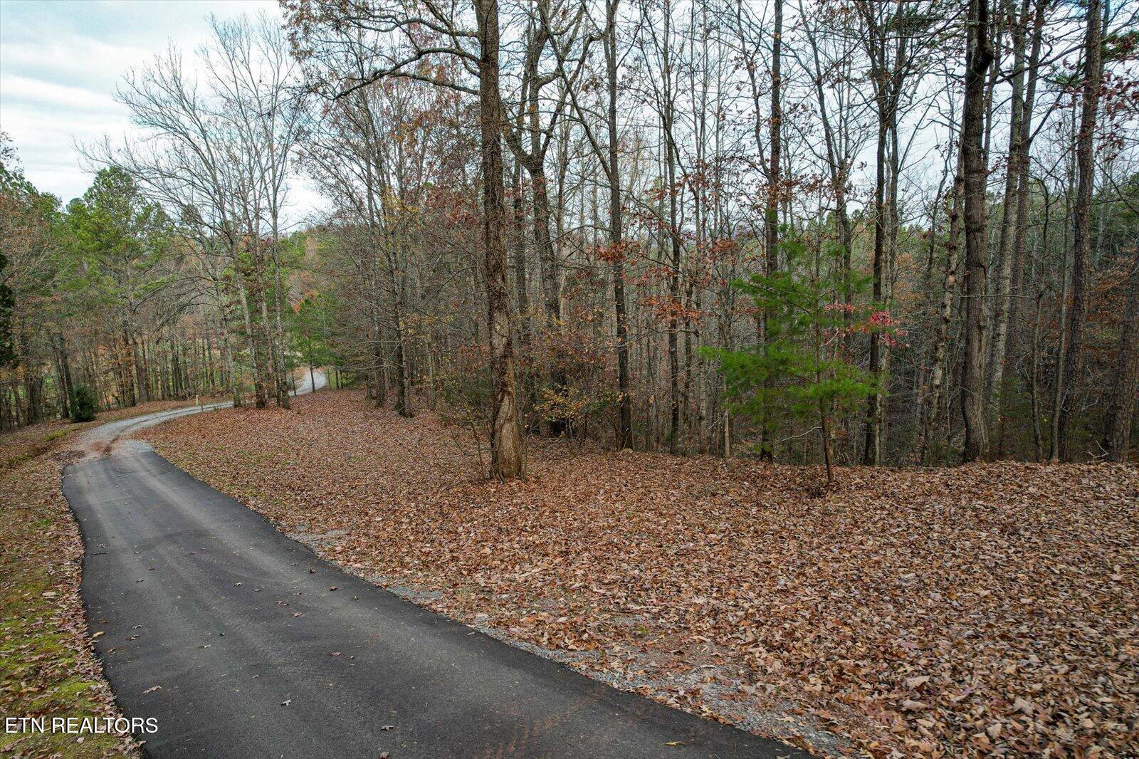 25 Acres County Road 758 Property Photo 11