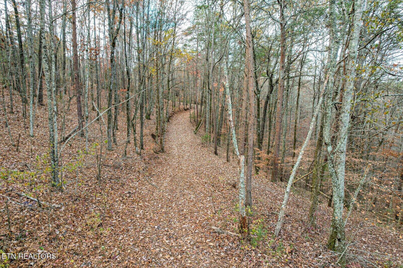 25 Acres County Road 758 Property Photo 12