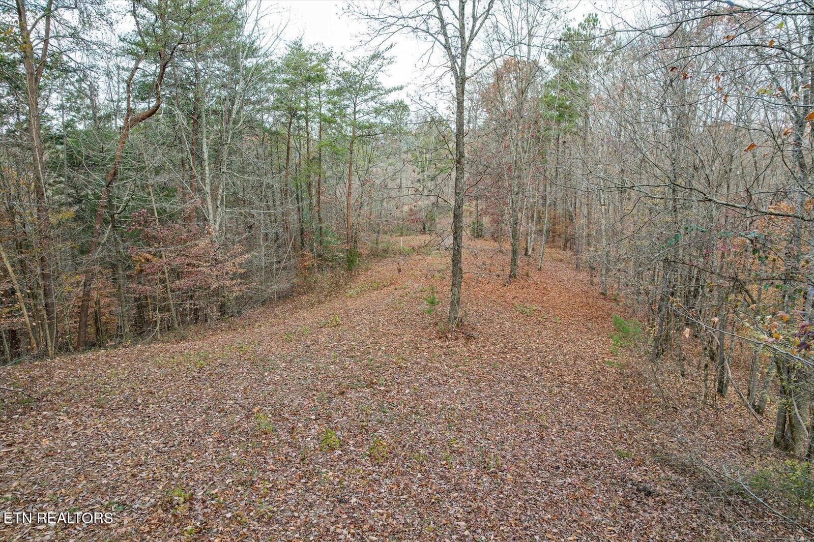 25 Acres County Road 758 Property Photo 13