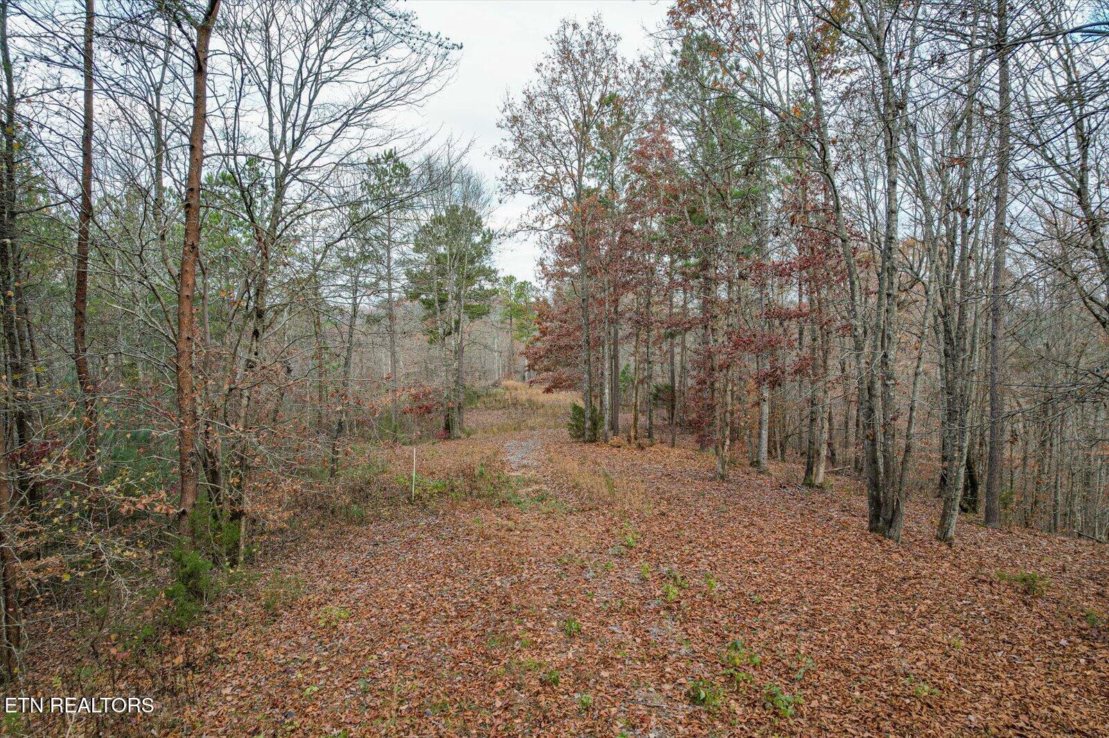 25 Acres County Road 758 Property Photo 15