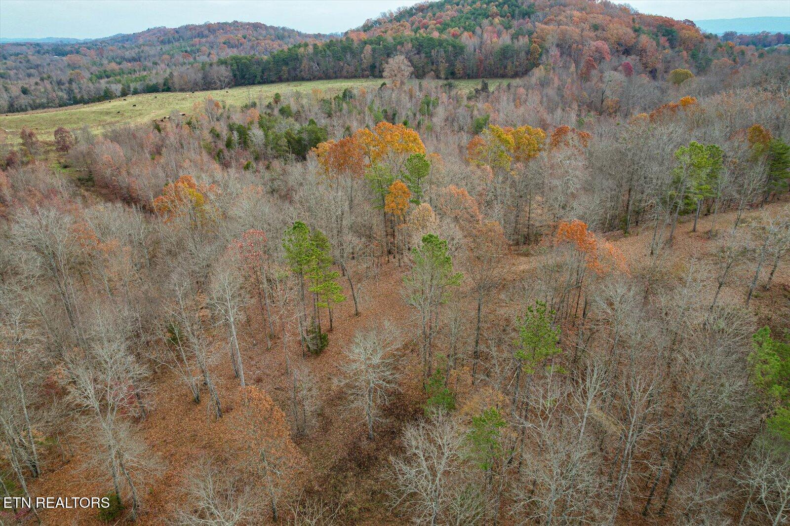 25 Acres County Road 758 Property Photo 16