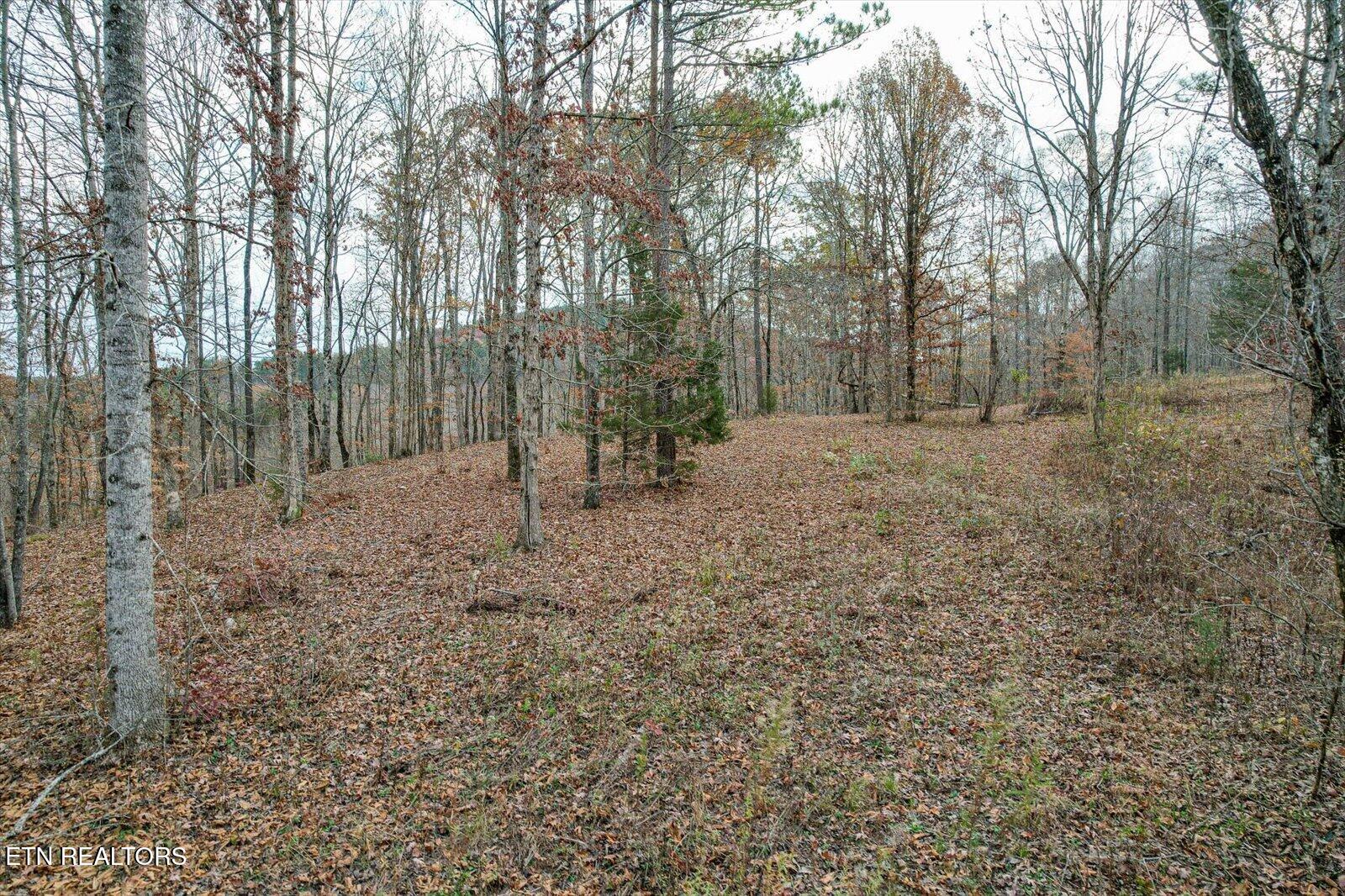 25 Acres County Road 758 Property Photo 17