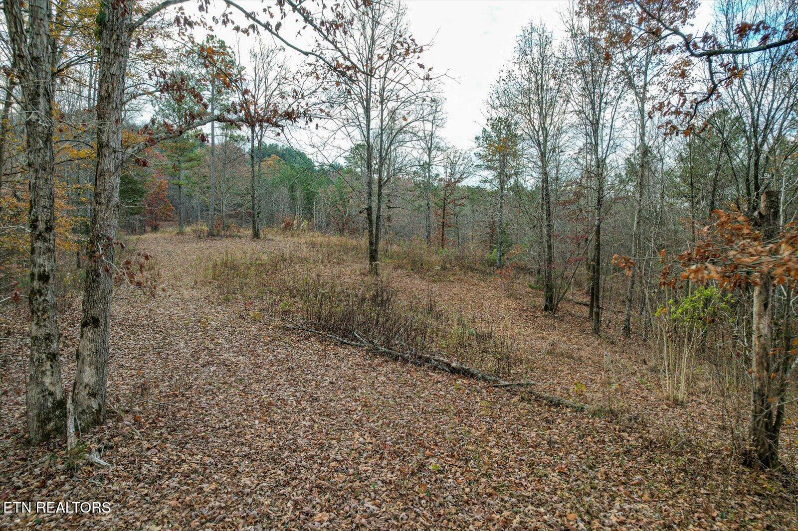 25 Acres County Road 758 Property Photo 18