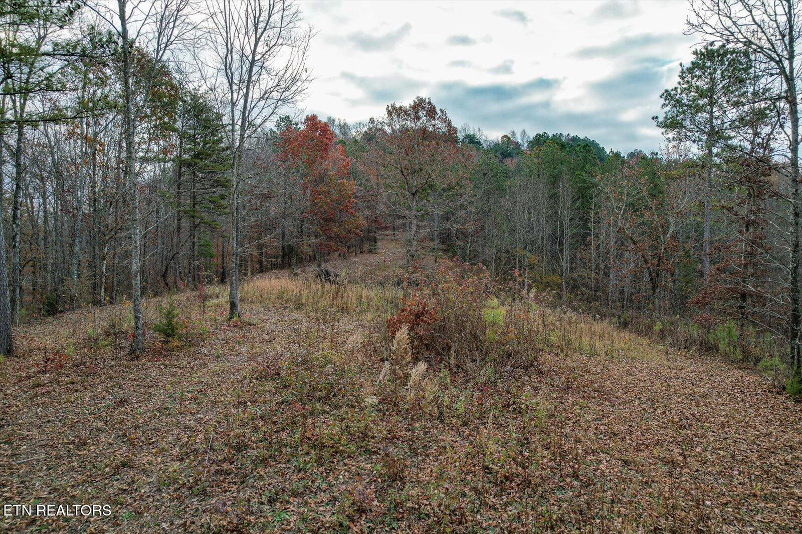 25 Acres County Road 758 Property Photo 19
