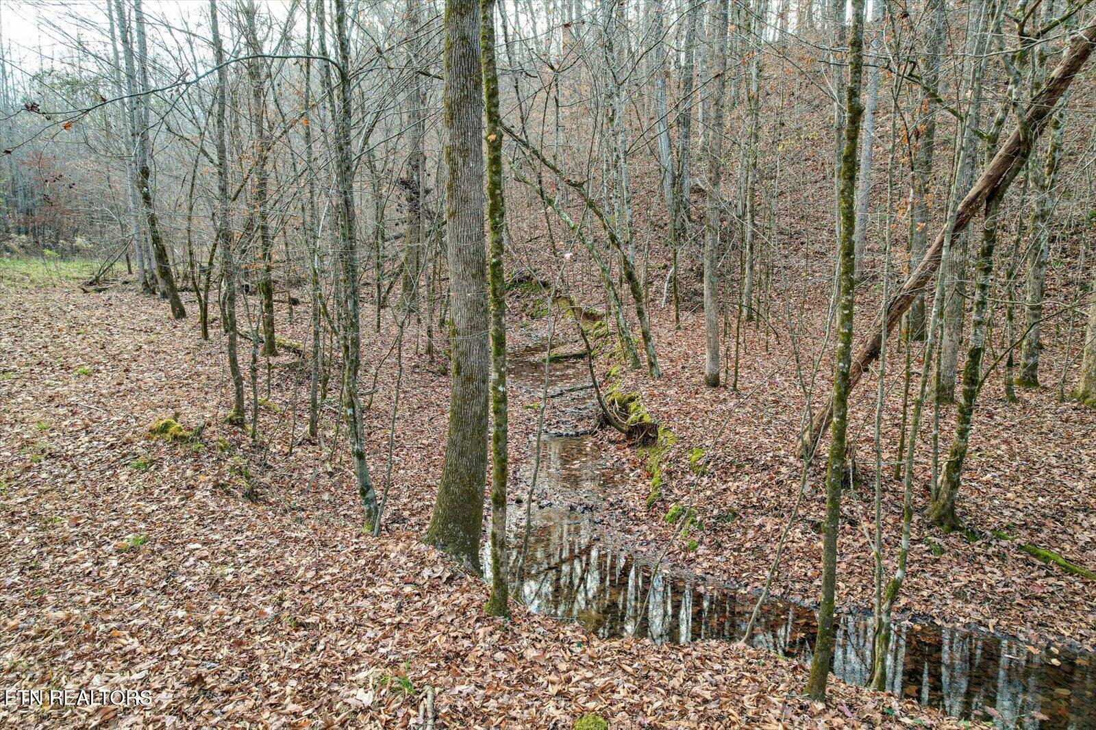 25 Acres County Road 758 Property Photo 21
