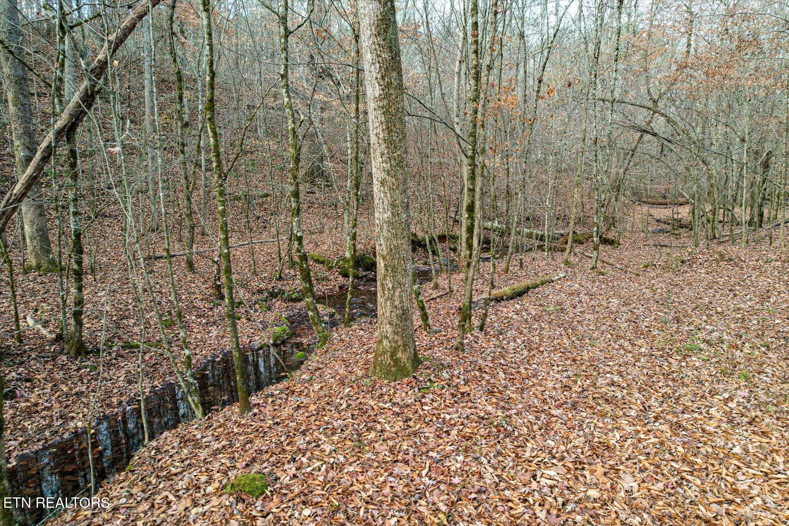 25 Acres County Road 758 Property Photo 22