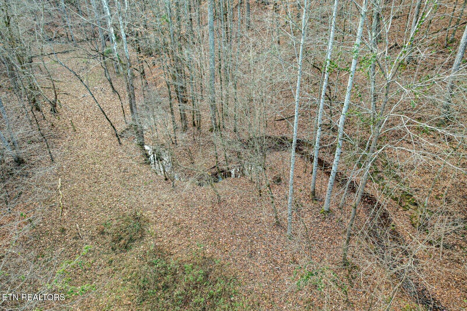 25 Acres County Road 758 Property Photo 23
