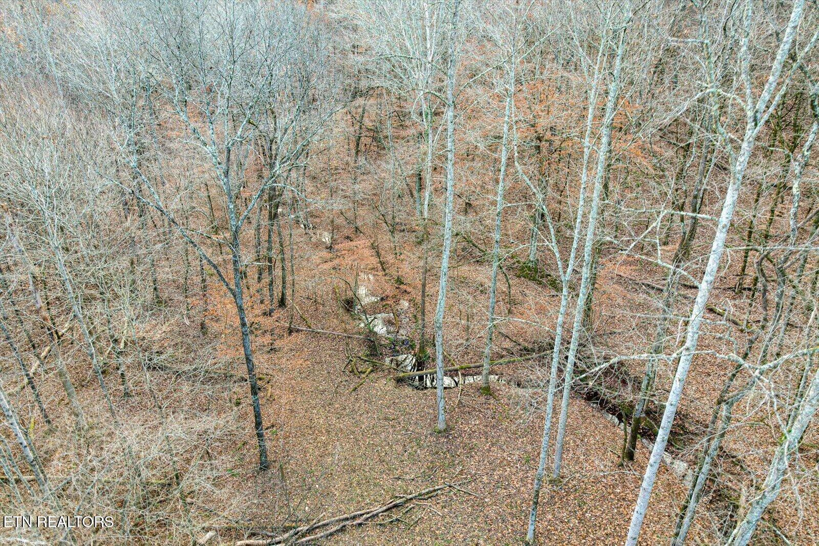 25 Acres County Road 758 Property Photo 24