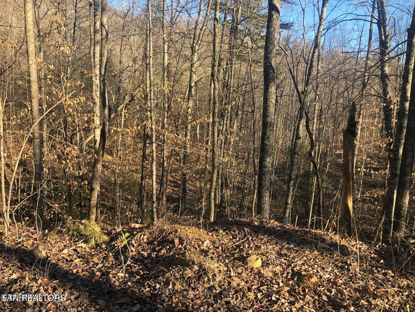 Lot 68 Yellowwood Drive Property Photo
