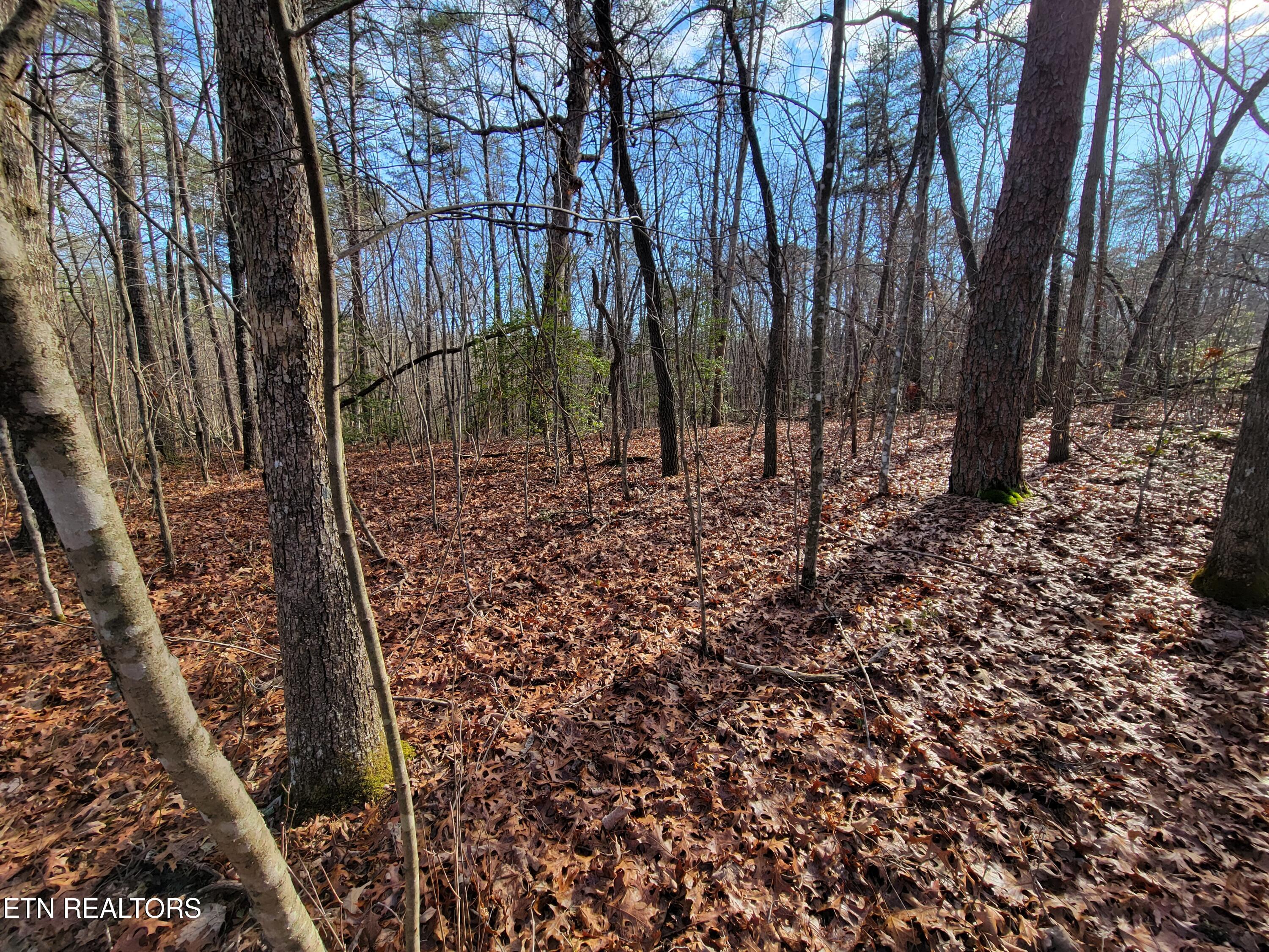 30 Laurel Loop Property Photo 1