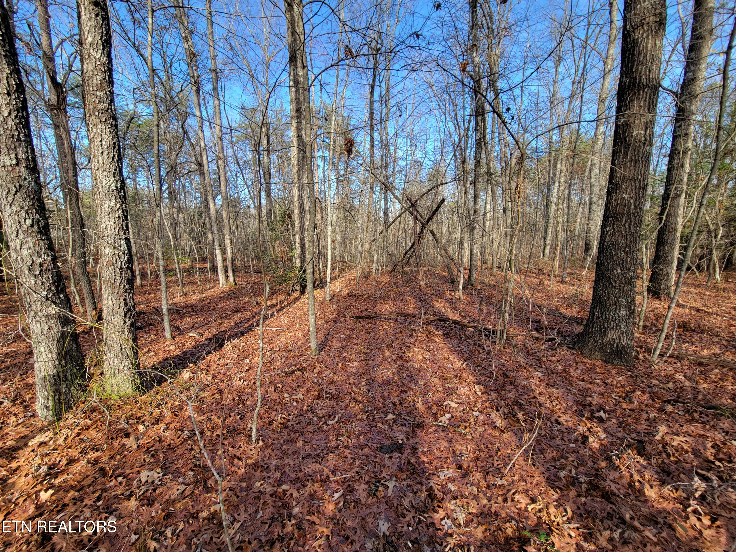 30 Laurel Loop Property Photo 2