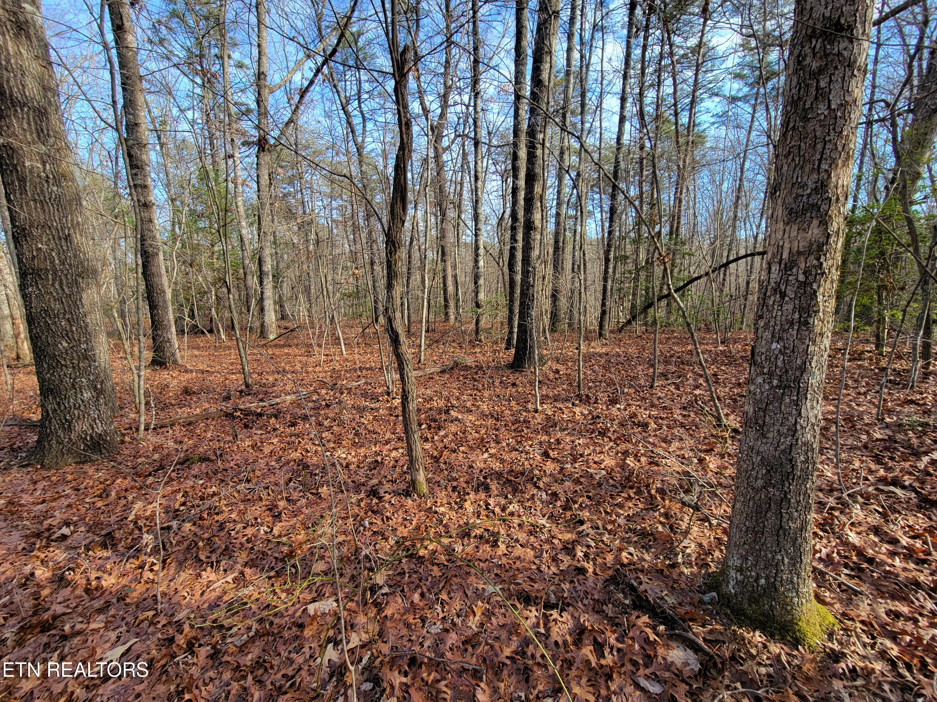 30 Laurel Loop Property Photo 3