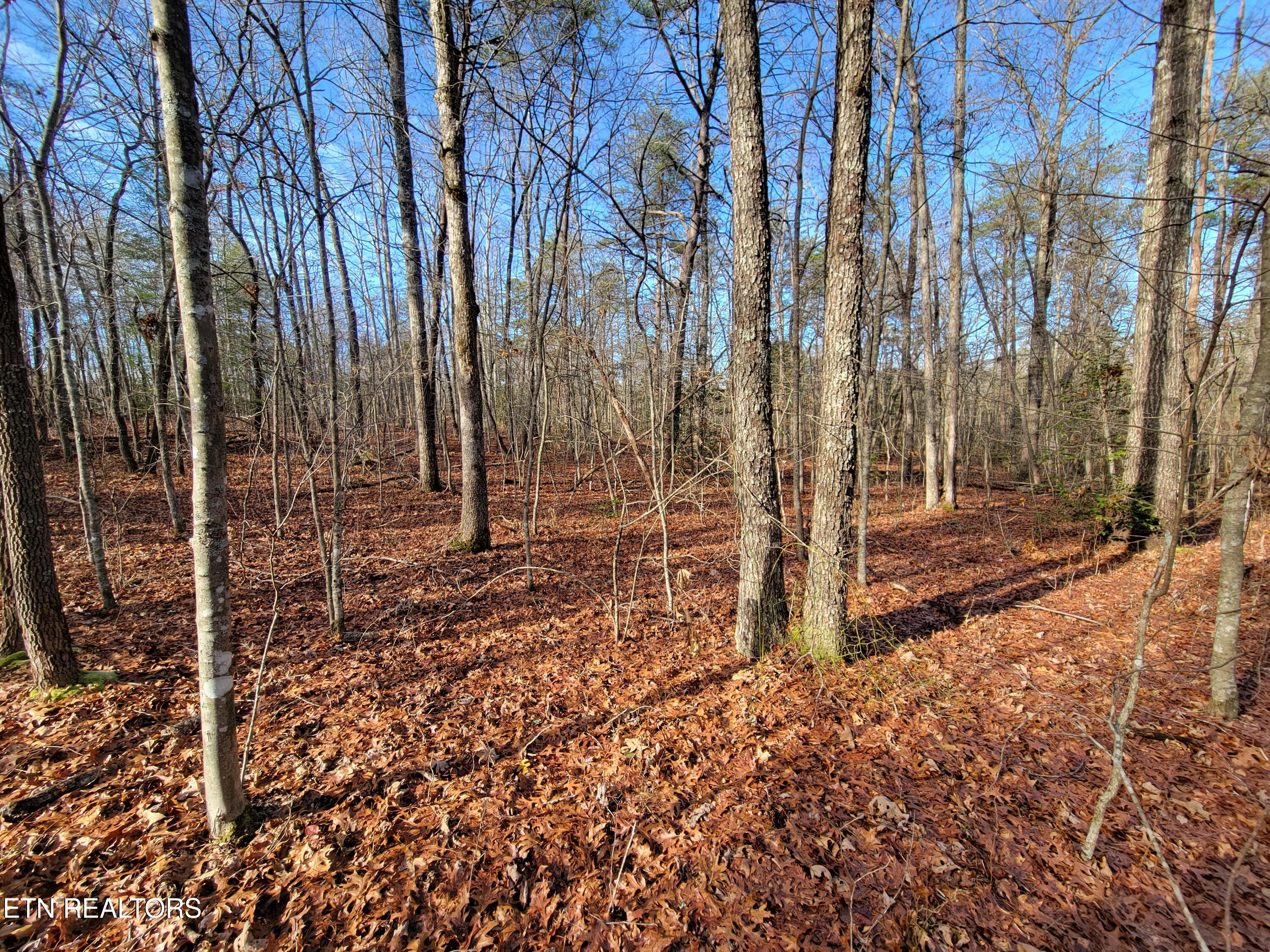 30 Laurel Loop Property Photo 5