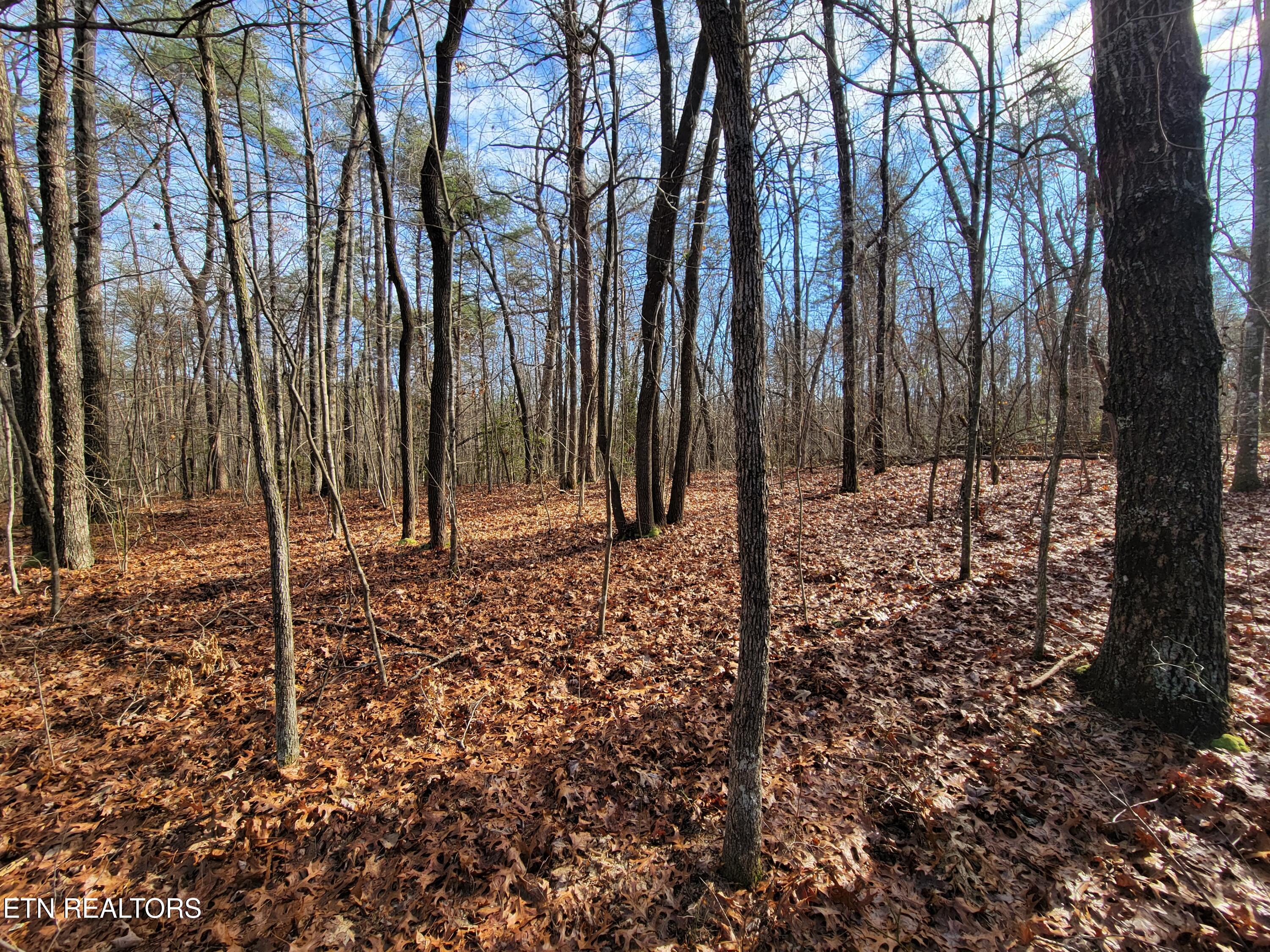 30 Laurel Loop Property Photo 6