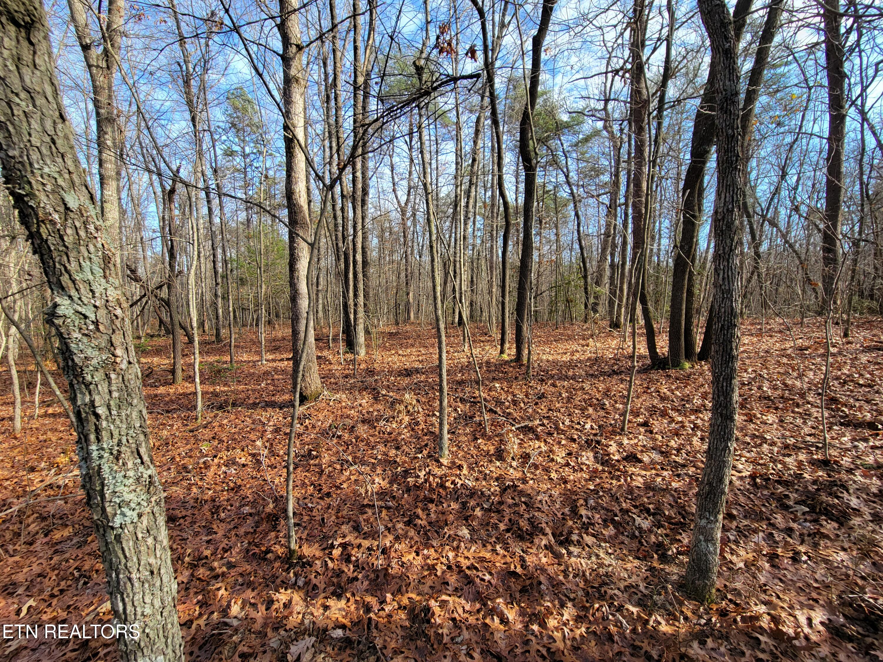 30 Laurel Loop Property Photo 7