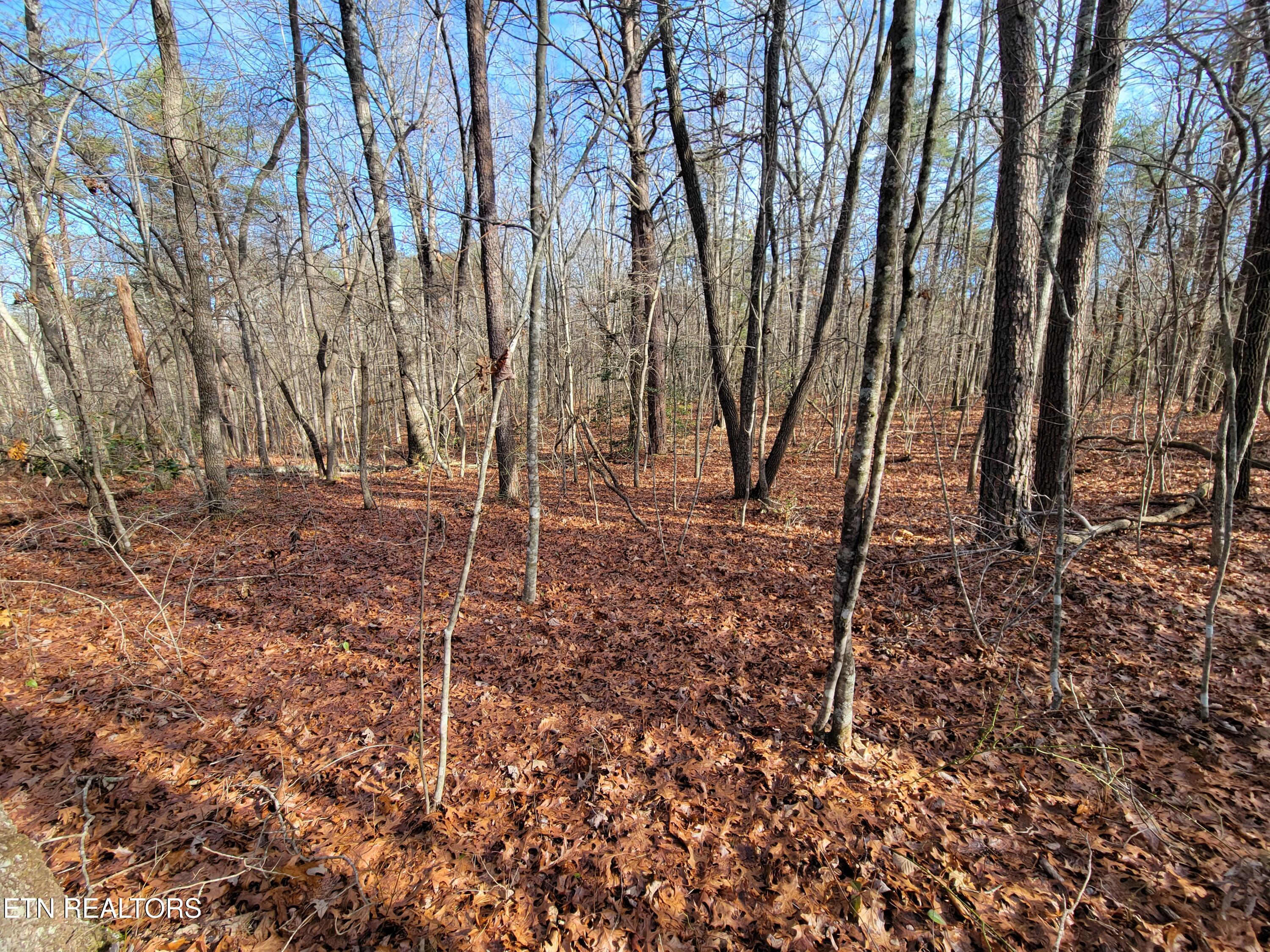 30 Laurel Loop Property Photo 10