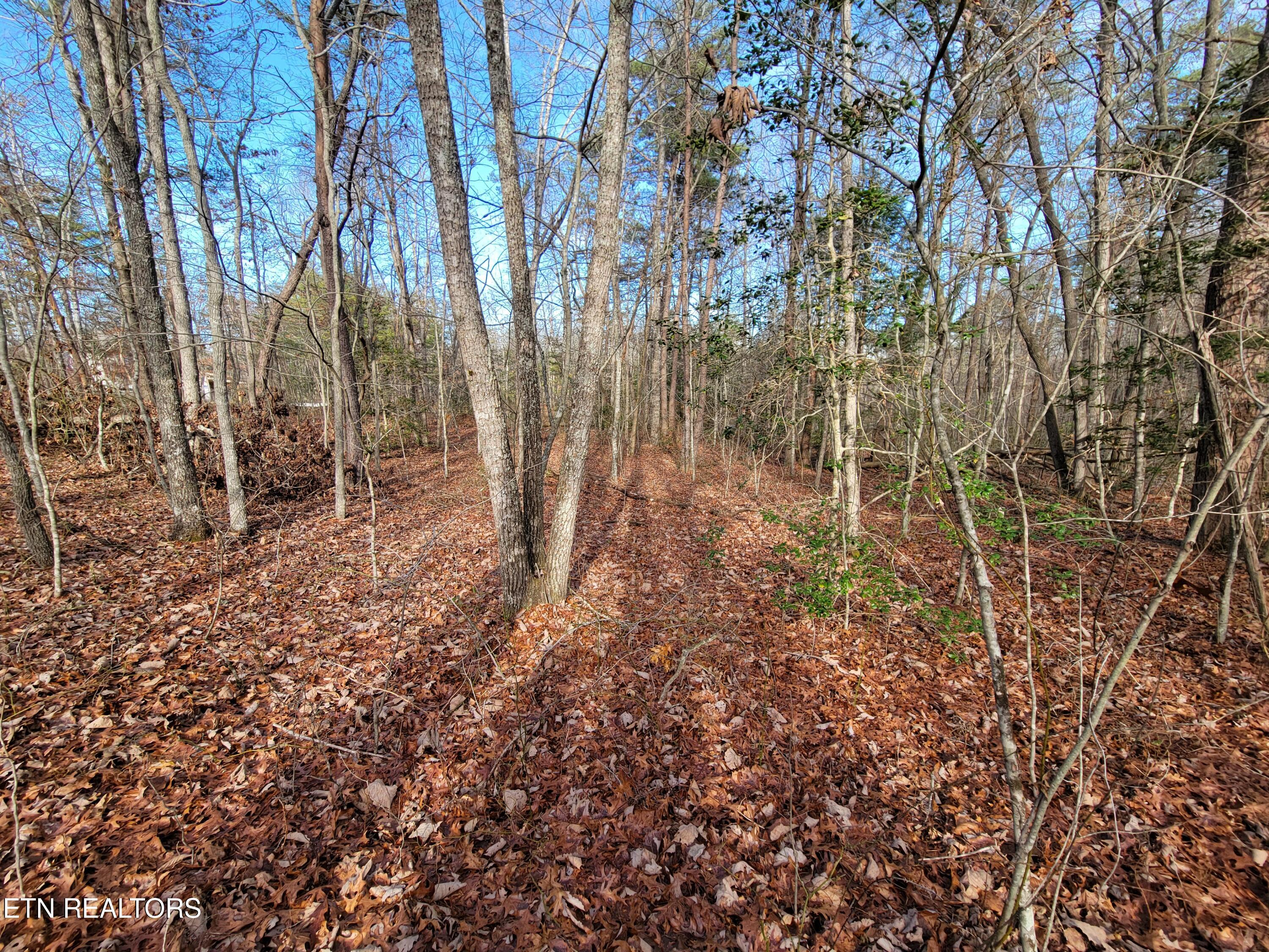 30 Laurel Loop Property Photo 11