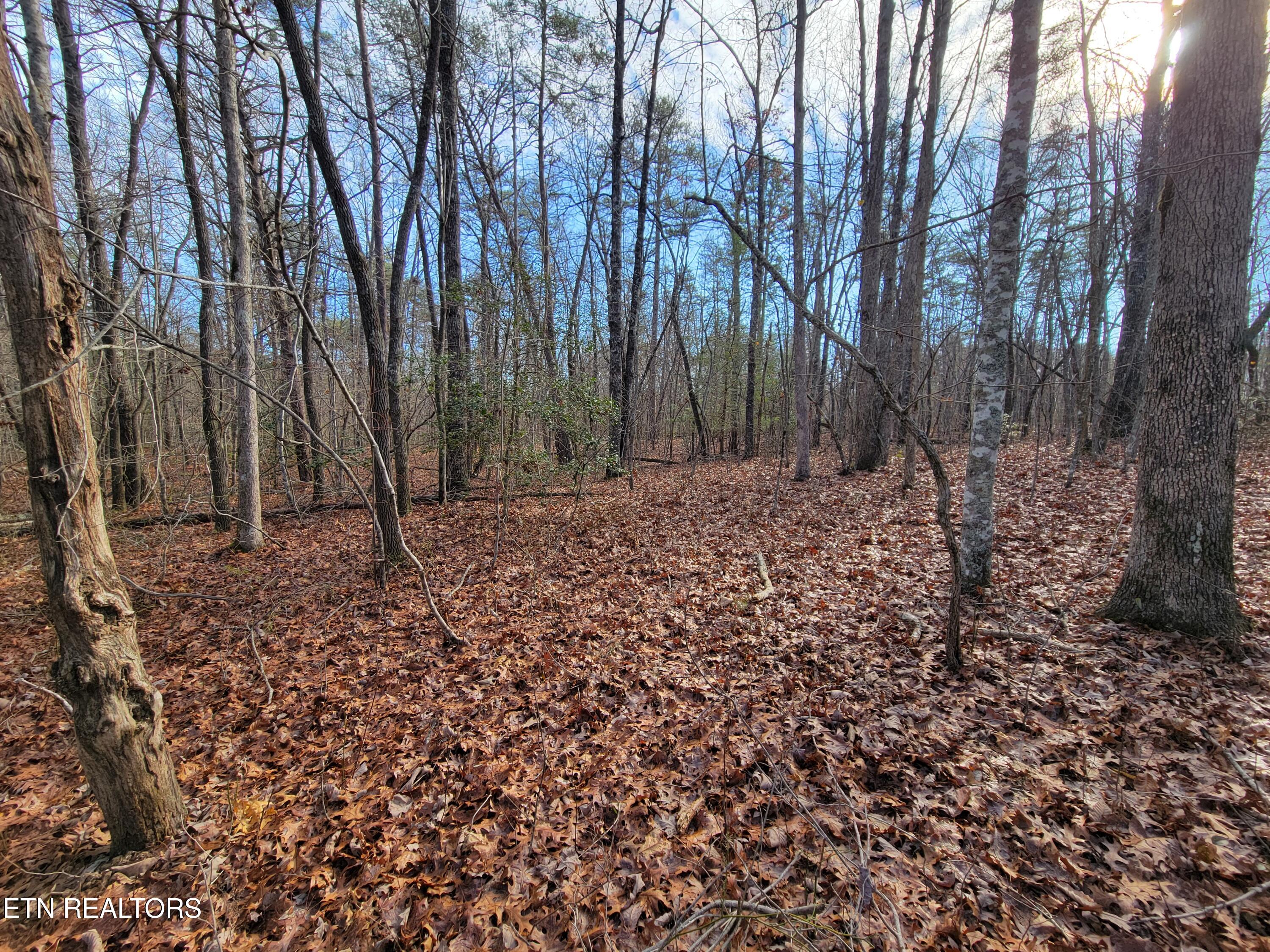 30 Laurel Loop Property Photo 12