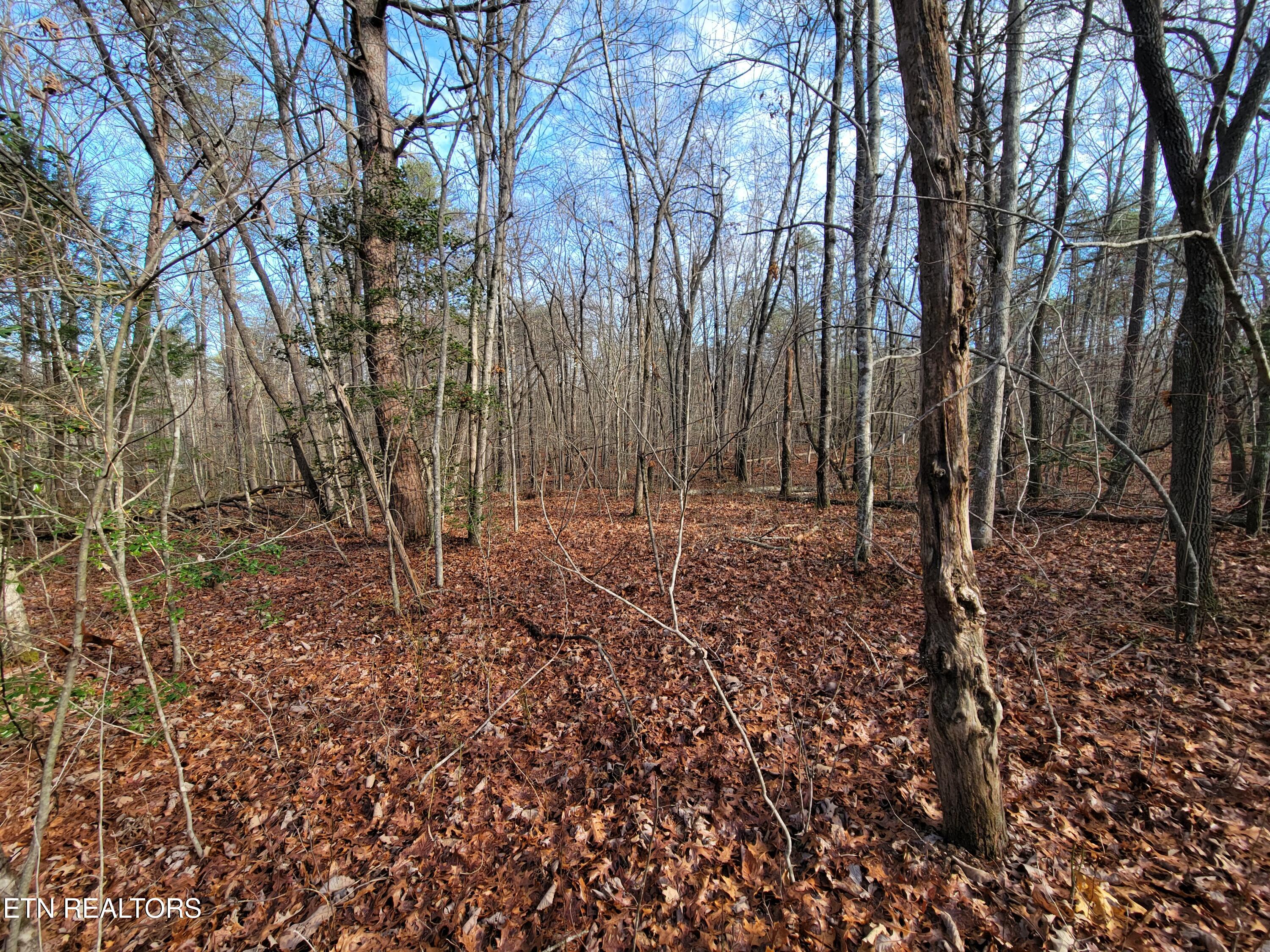 30 Laurel Loop Property Photo 13