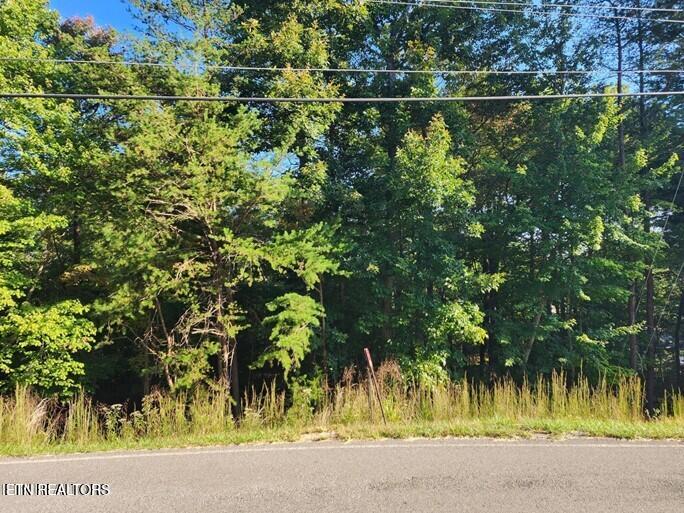 125 Valarian Drive Property Photo 1