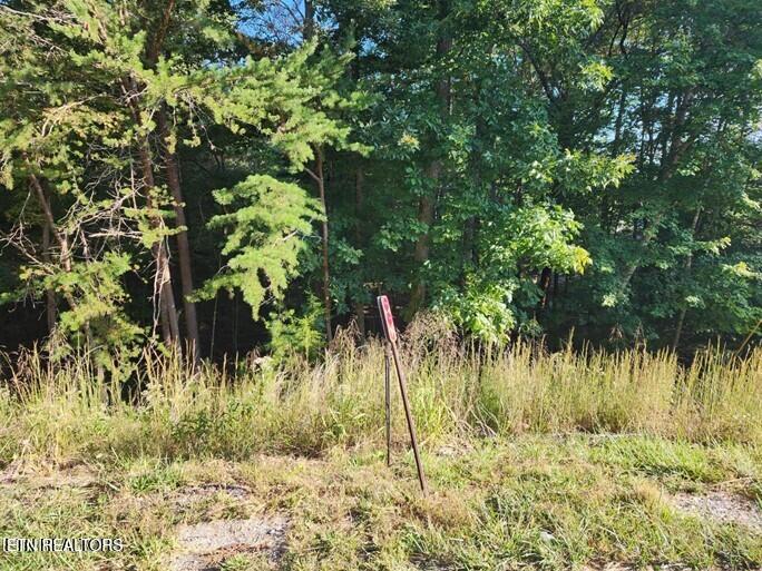 125 Valarian Drive Property Photo 2