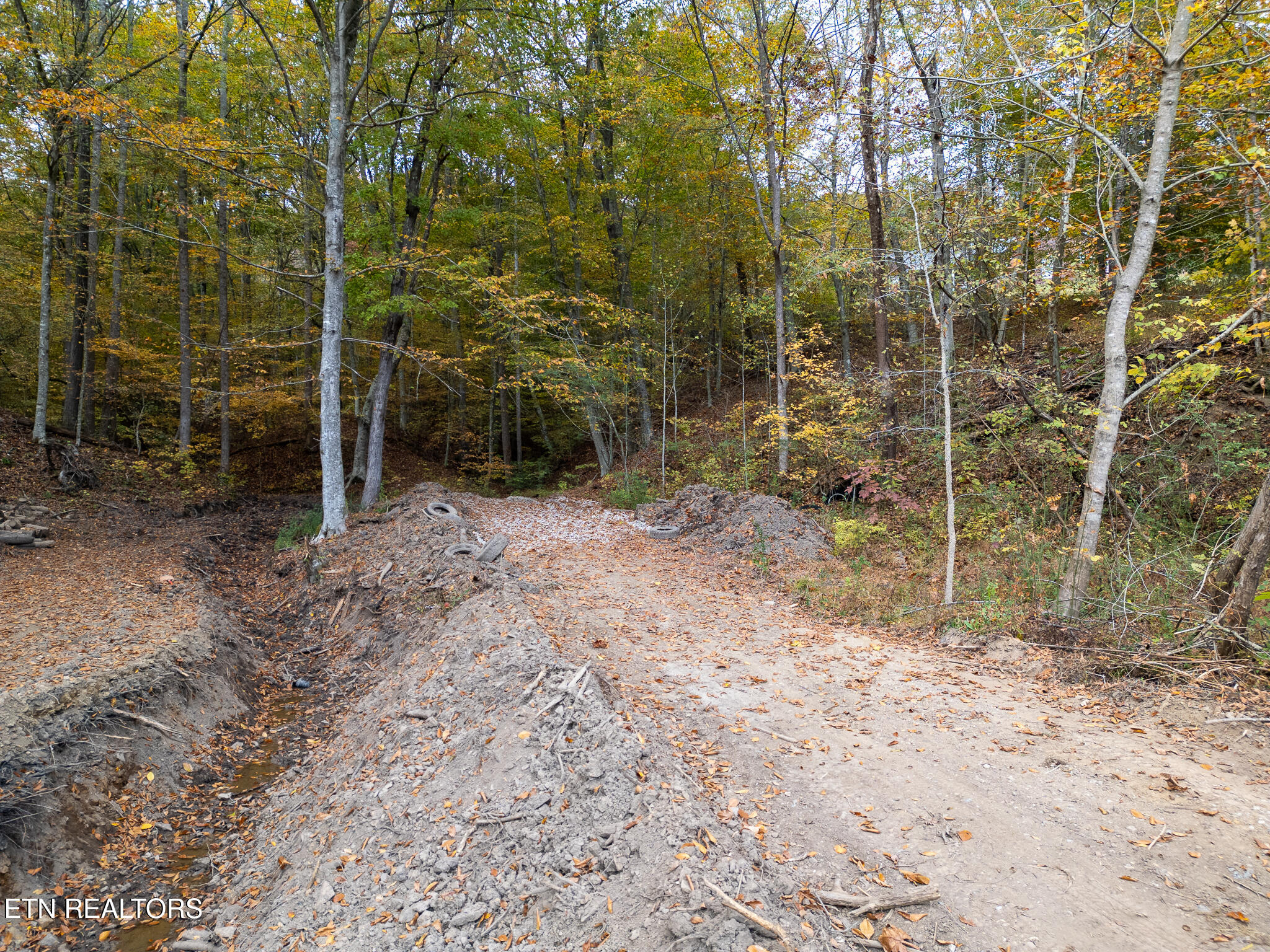 Lot 2 W Bullrun Valley Drive Property Photo 5