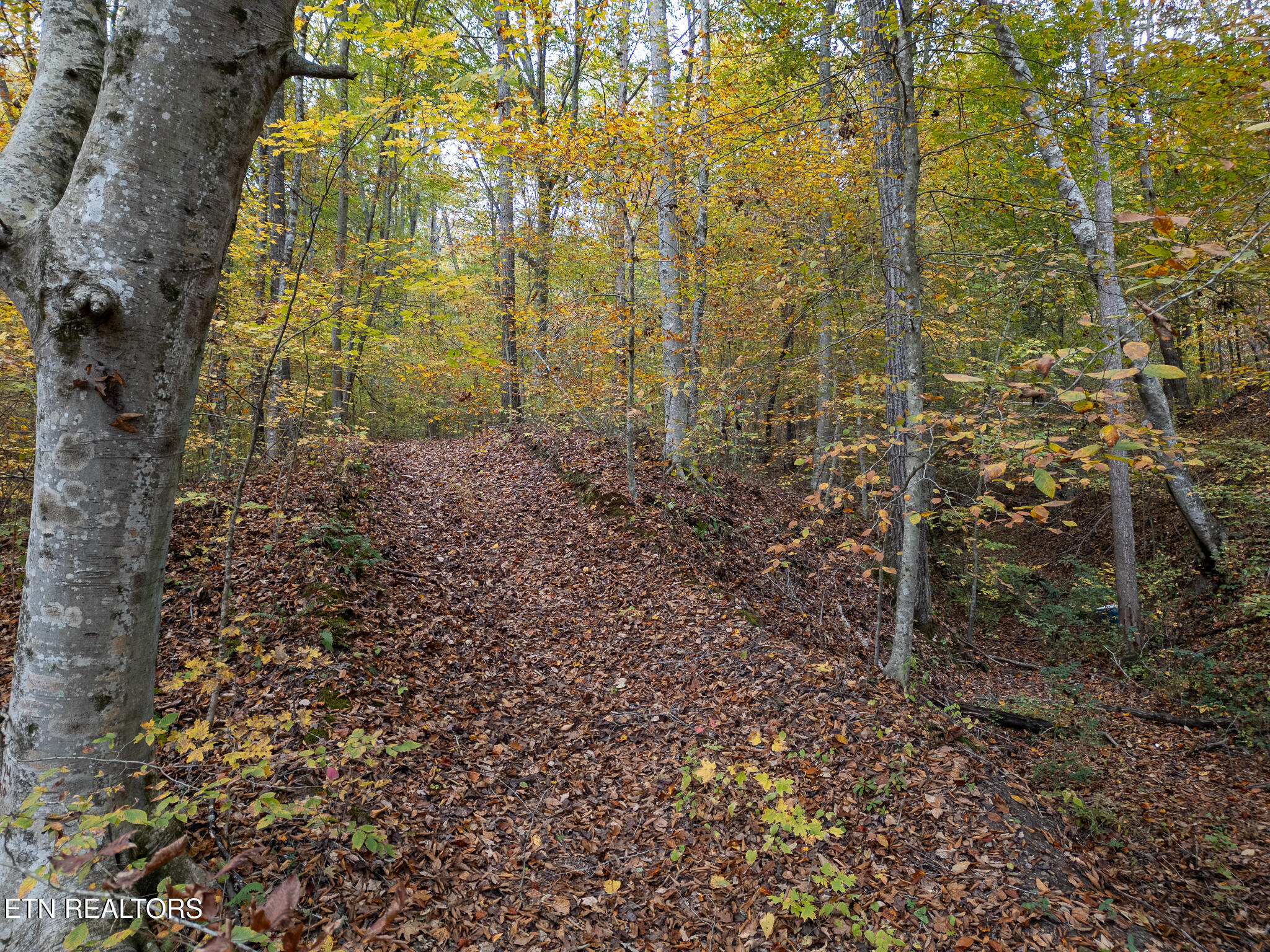 Lot 2 W Bullrun Valley Drive Property Photo 6