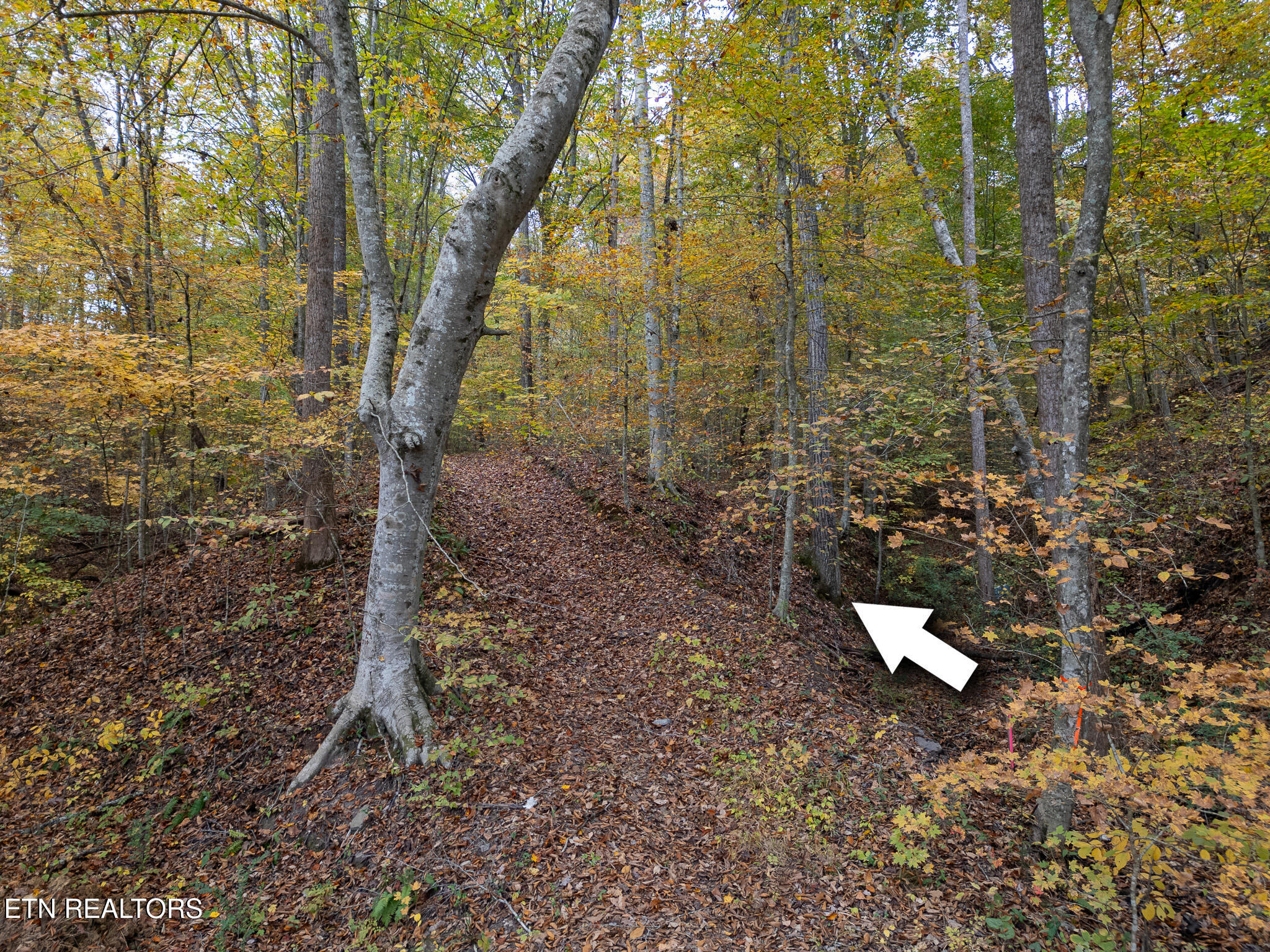 Lot 2 W Bullrun Valley Drive Property Photo 7